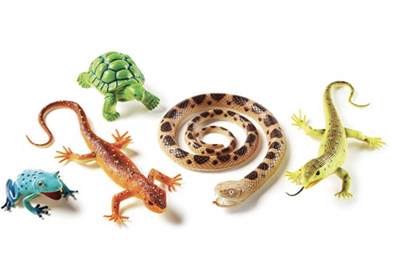 Free Reptiles Worksheets Kids Love - With Printables