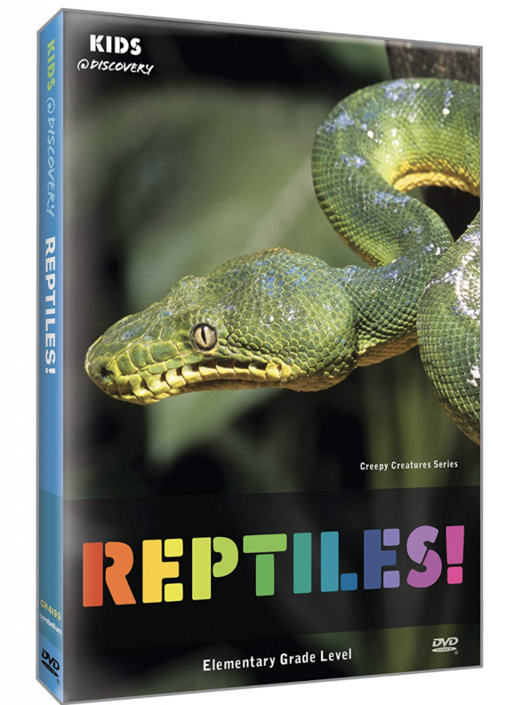 Free Reptiles Worksheets Kids Love - With Printables